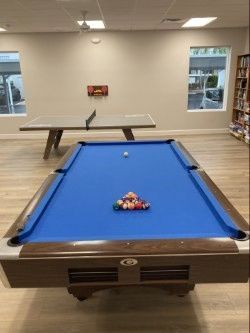 Ping-pong table and billiards table