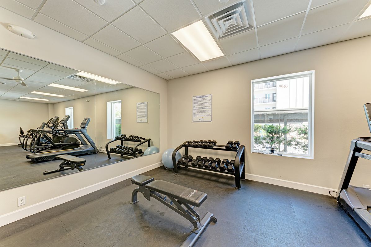 Free-weight station with dumbbells and workout benches